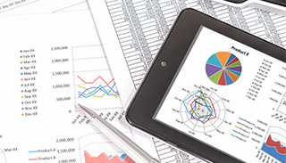 Business Segment Information