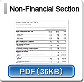 Non-Financial Section