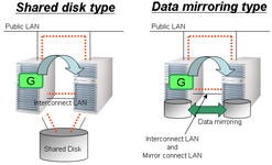 Shared disk-Data mirroring
