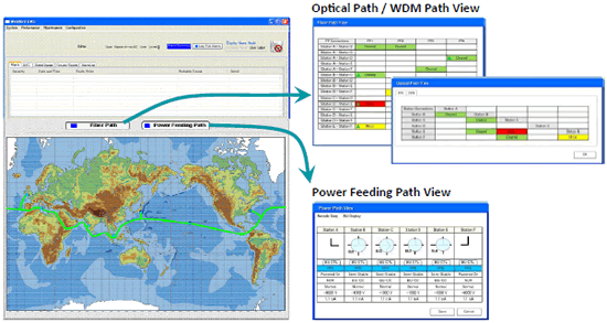 Management System WebNSV
