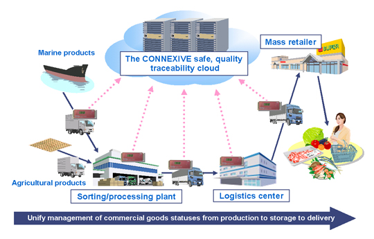 CONNEXIVE Product and Services