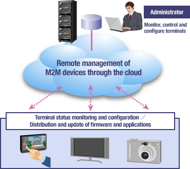 Mobile terminal management