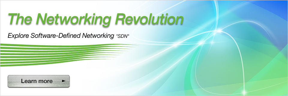 OpenFlow/SDN