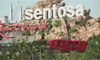 Integrated Resort IT Servises