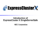 EC SingleServerSafe Presentation