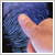 Biometrics ID Solutions