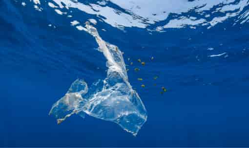 JAMSTEC Combating worsening marine pollution with AI: How image recognition techniques are being used to elucidate the state of microplastic pollution