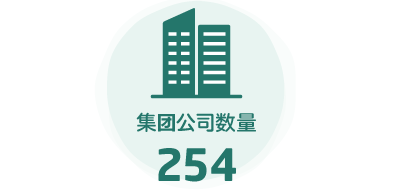 集团公司数量:254
