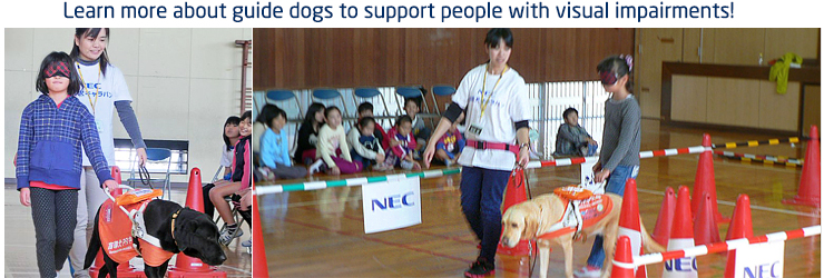 Learn more about guide dogs to support people with visual impairments!