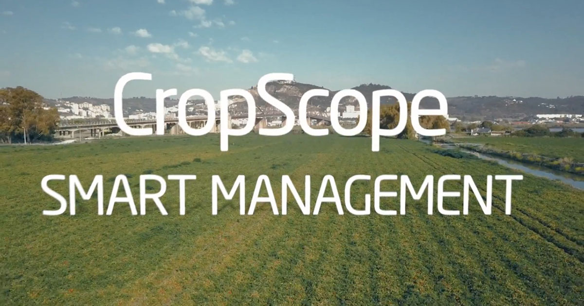 CropScope realize smart agriculture and sustainable farming NEC Online