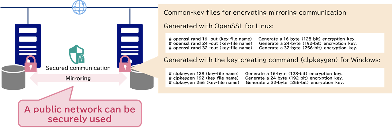 EncryptMirroringCommunicationPath