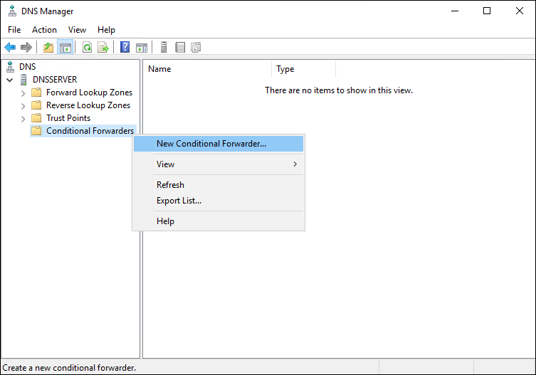 DNS Forwarder Settings 1