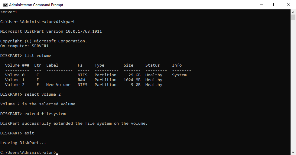 Expand the File System