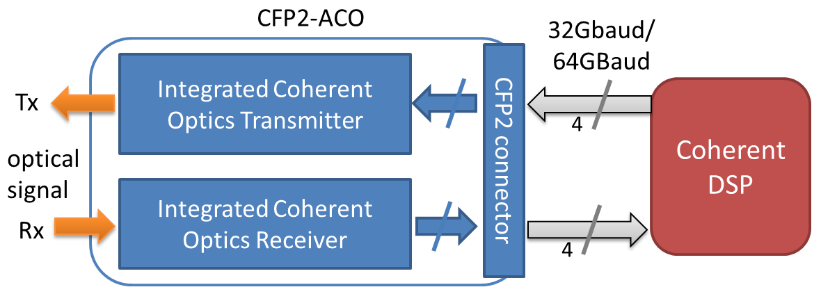 fig.overview