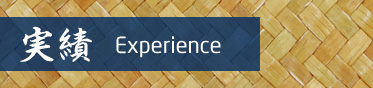 Experience