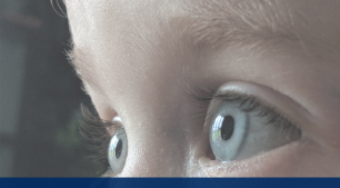 Iris recognition technology