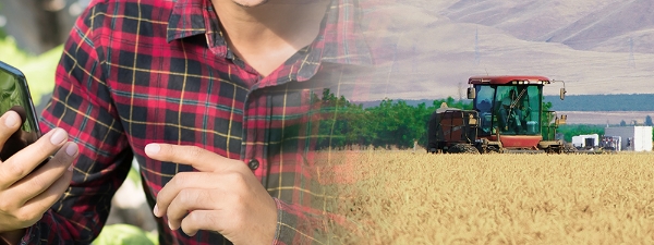 image of Agriculture