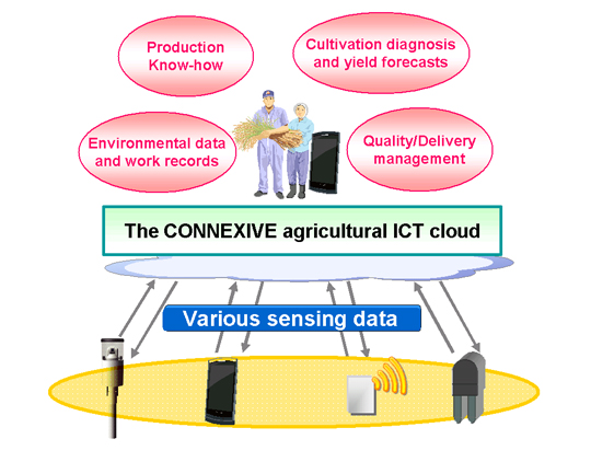 CONNEXIVE Product and Services