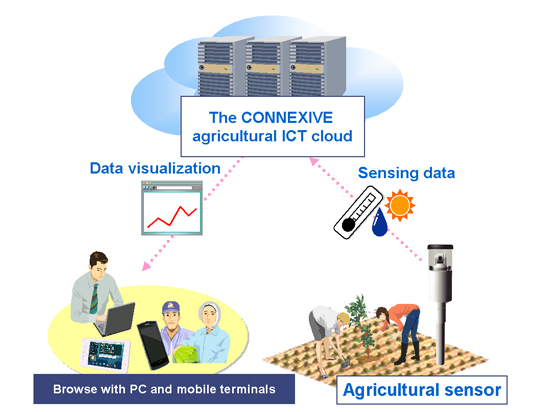 Case of agriculture ICT