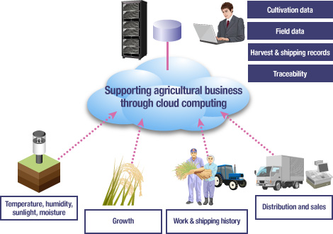 Agriculture