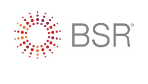 The logo of Business for Social Responsibility（BSR）