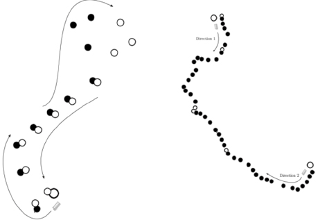 Fig. 3 Topology of circular (left) and bi-directional (right) bus services.