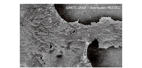PALSAR observation image (Izu Peninsula and Mount Fuji)
