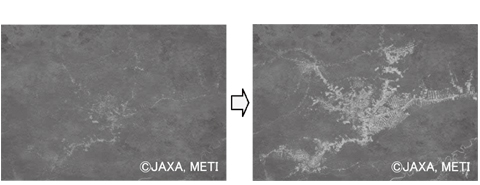 Decrease in tropical rainforest in the Amazon basin.