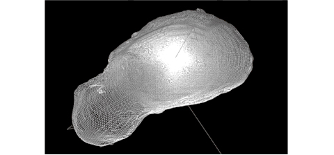 Example of higher-level data (30 model of Asteroid 25143 ITOKAWA).