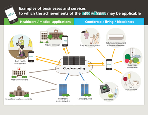 Figure 2. MSS instruments and related services can ameliorate various aspects of human life and society.