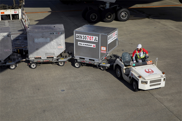 Cargo transport vehicles