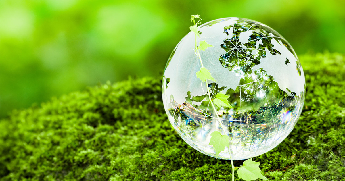 NEC participates in COP29 climate change conference Press Releases NEC
